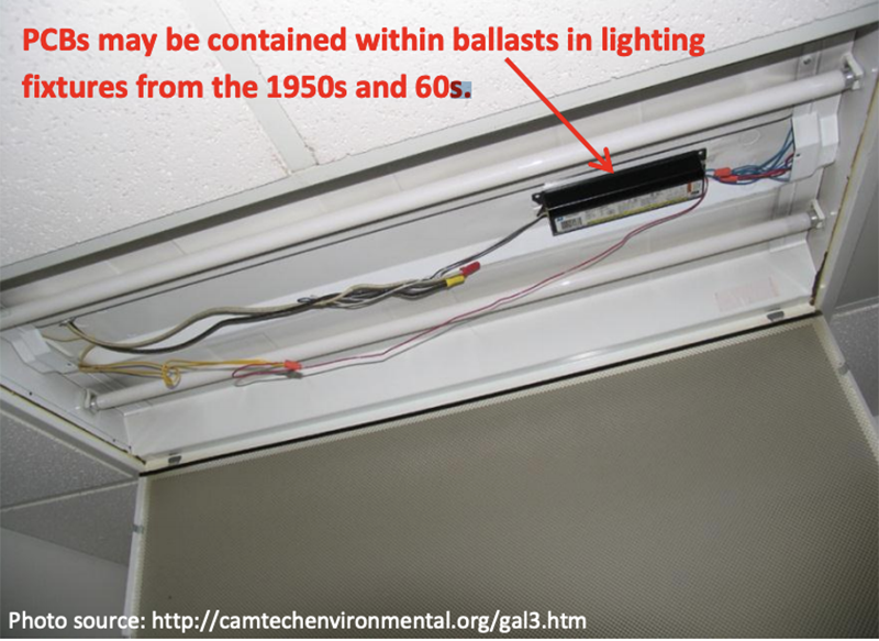 NYLPI Celebrates Successful Removal of Toxic PCB Light Fixtures